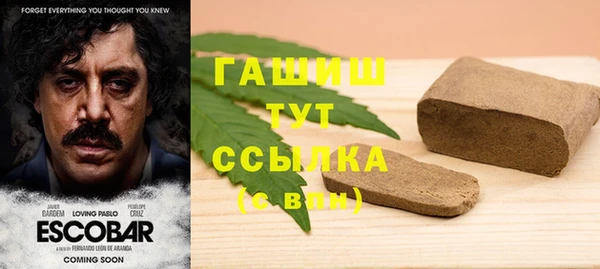 индика Верхний Тагил